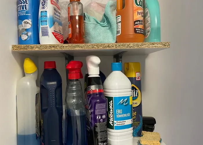 Superbe Duplex Acces Et Vue Mer, Garage, Linge Fourni سا يْليرْ دو ري